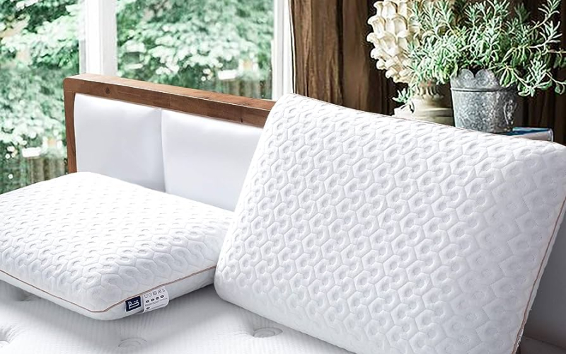 Foam Pillows